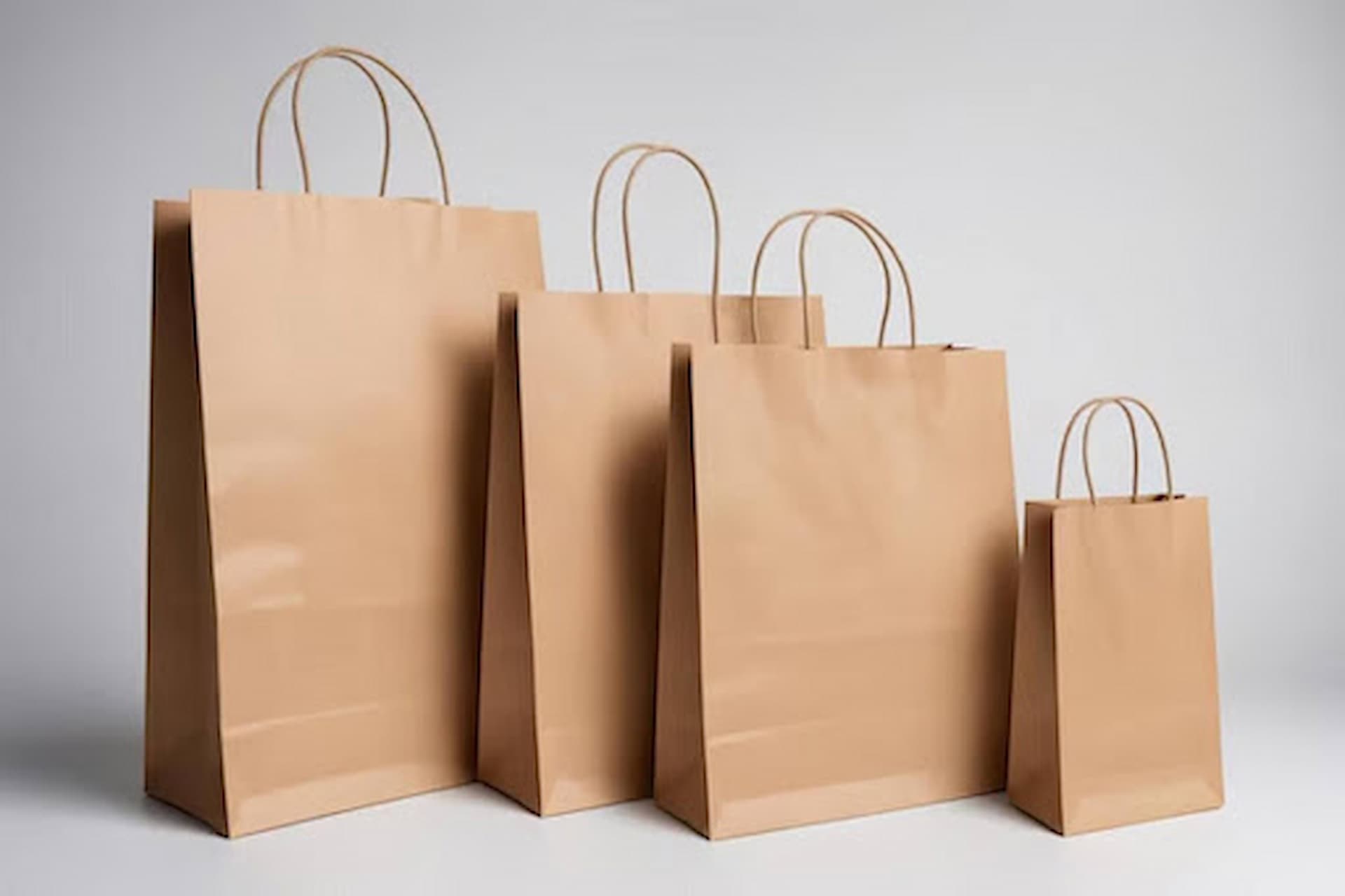 Custom Paper Bags