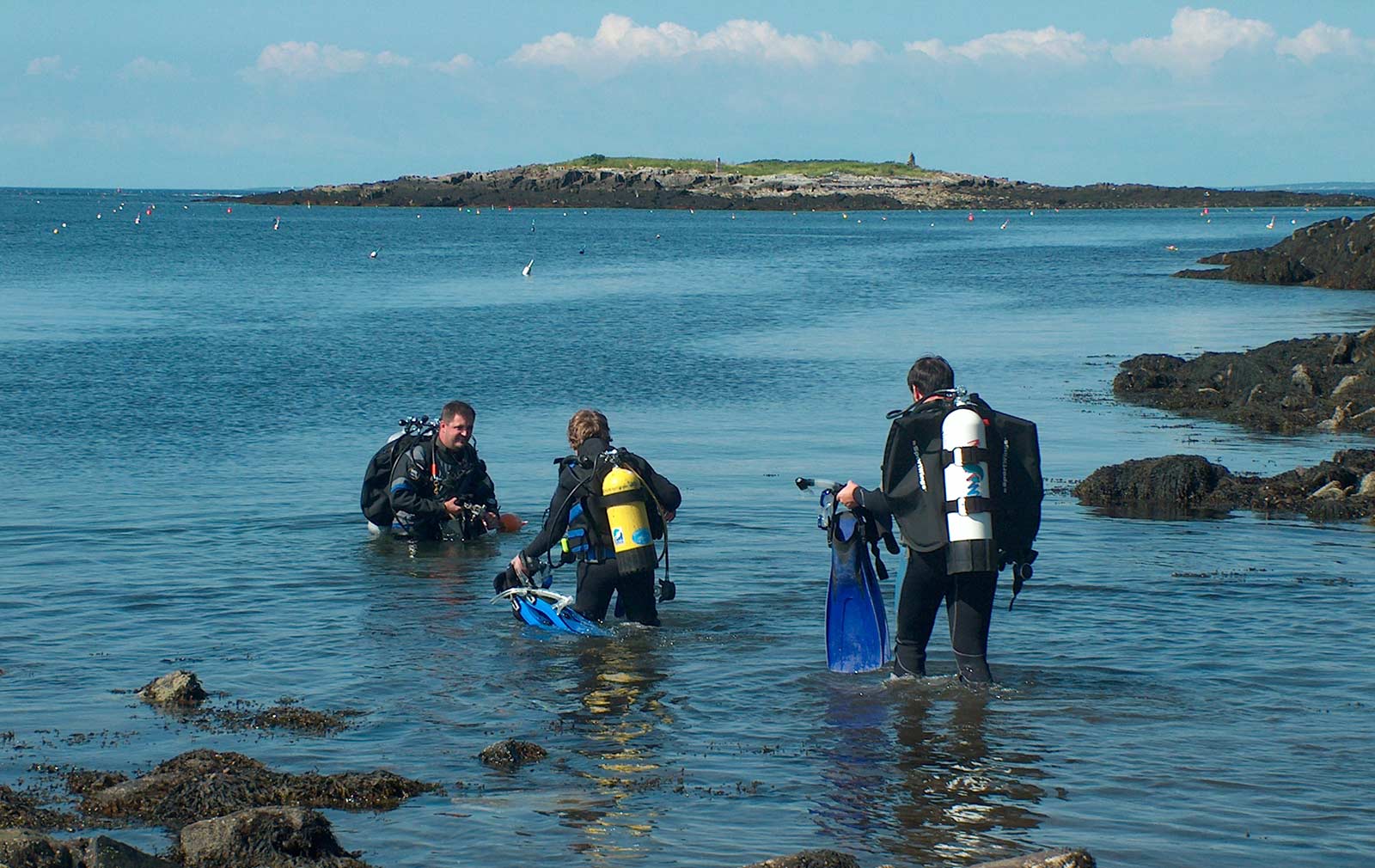 Magnifying Pleasure Of Marine Wildlife With Diving Training