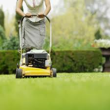 Benefits Of Lawn Care Taker