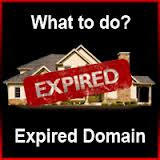 The Real Purpose Of The Domain Names And Benefits For The Owners Of The Domains